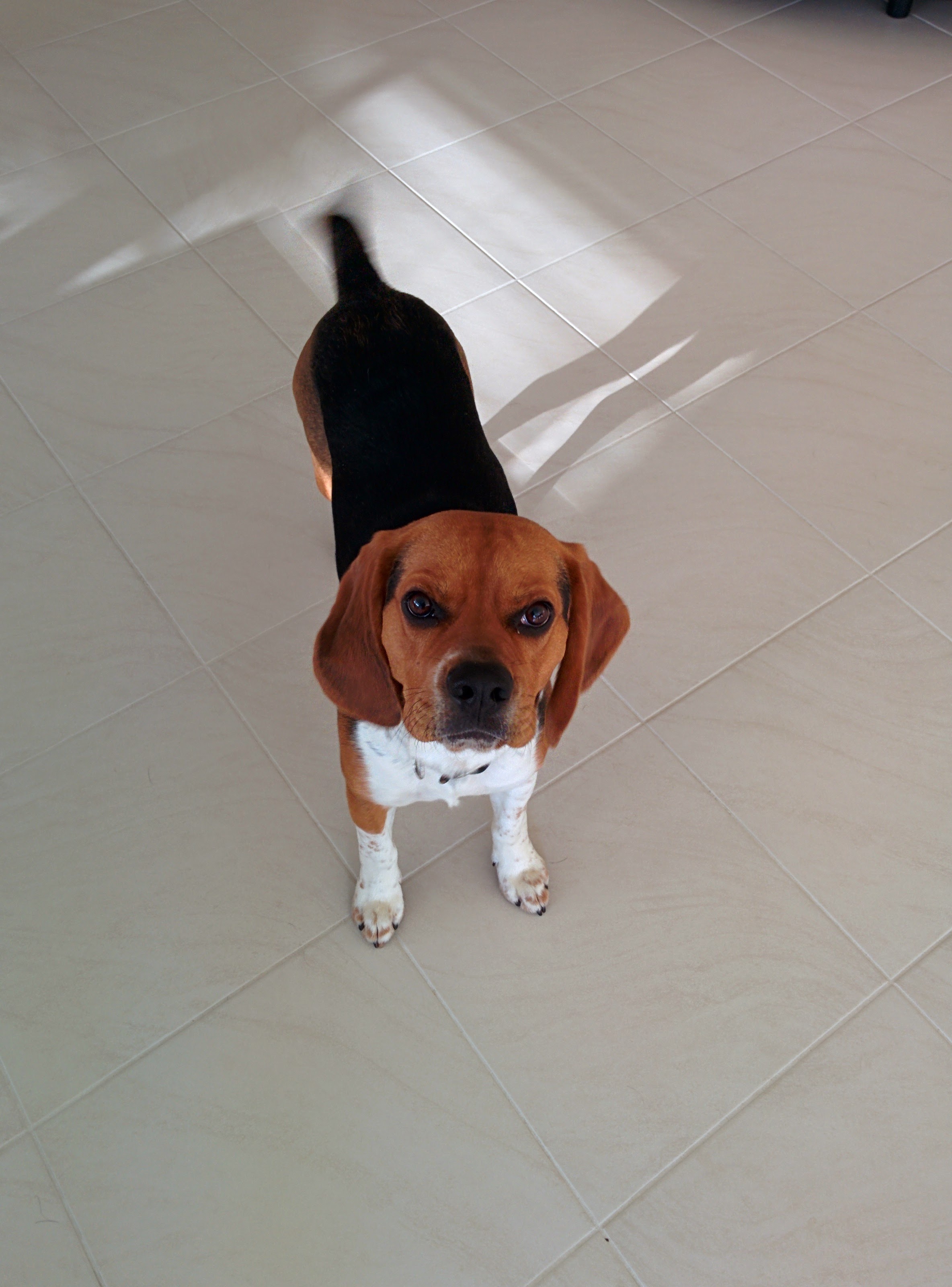 Watson